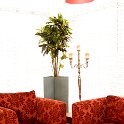 croton de luxze square 90